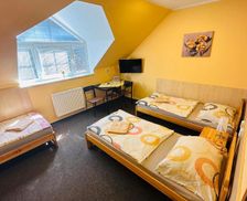 Czechia Pardubice Region Sezemice vacation rental compare prices direct by owner 18929807