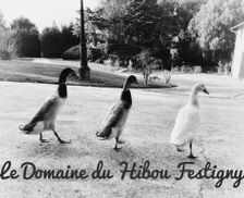 France Champagne - Ardenne Festigny vacation rental compare prices direct by owner 15799085