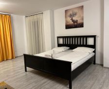 Romania Caraş-Severin Bocşa vacation rental compare prices direct by owner 35851008