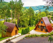 Poland Podkarpackie Tyrawa Solna vacation rental compare prices direct by owner 26959156