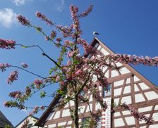 Germany Baden-Württemberg Bad Saulgau vacation rental compare prices direct by owner 35318383