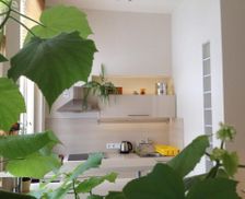 Czechia Hradec Kralove Černý Dŭl vacation rental compare prices direct by owner 35039560