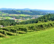 Austria Styria Krottendorf bei Ligist vacation rental compare prices direct by owner 35427644