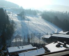 Austria Tyrol Alpbach vacation rental compare prices direct by owner 14155241
