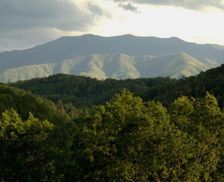 United States Tennessee Sevierville vacation rental compare prices direct by owner 19793253