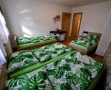 Czechia South Moravian Region Milotice vacation rental compare prices direct by owner 13799359