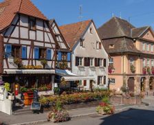 France Alsace Dambach-la-Ville vacation rental compare prices direct by owner 33682096