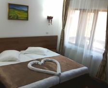 Romania Vâlcea Brezoi vacation rental compare prices direct by owner 18157830