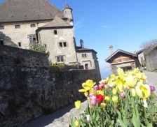 France Rhône-Alps Yvoire vacation rental compare prices direct by owner 14010532