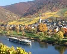 Germany Rhineland-Palatinate Bruttig-Fankel vacation rental compare prices direct by owner 14177089