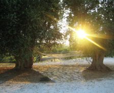 Italy Apulia Cisternino vacation rental compare prices direct by owner 14604790