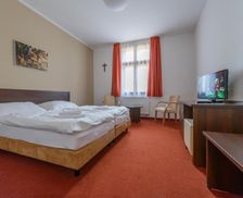 Czechia Central Bohemia Rožmitál pod Třemšínem vacation rental compare prices direct by owner 13518599