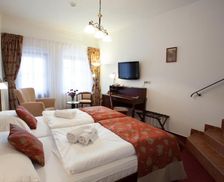 Czechia Vysocina Třebíč vacation rental compare prices direct by owner 13628508