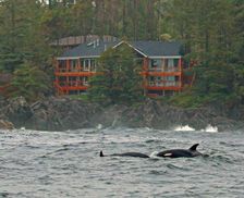 Canada British Columbia Ucluelet vacation rental compare prices direct by owner 26340177