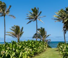 United States Hawaii Hauula vacation rental compare prices direct by owner 33522741