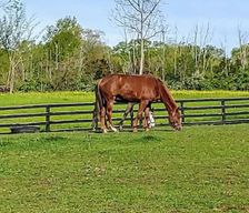 United States Ohio Lebanon vacation rental compare prices direct by owner 34606452