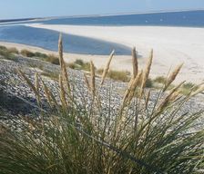 Germany  Niebüll vacation rental compare prices direct by owner 33693288