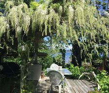 Canada British Columbia Courtenay vacation rental compare prices direct by owner 34957985