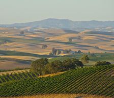 United States California Paso Robles vacation rental compare prices direct by owner 36776654