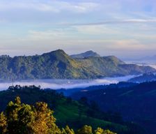 Sri Lanka CP Nawalapitiya vacation rental compare prices direct by owner 33295154