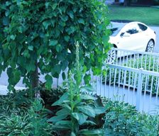 Canada Quebec Gatineau vacation rental compare prices direct by owner 7734660