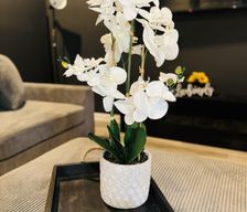 United States Georgia Jonesboro vacation rental compare prices direct by owner 34867090