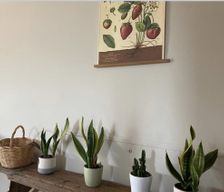 Italy PU MAROTTA DI MONDOLFO vacation rental compare prices direct by owner 33705770