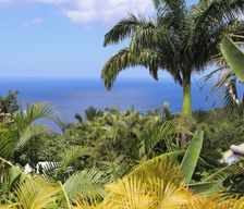 Guadeloupe Guadeloupe Pointe-Noire vacation rental compare prices direct by owner 34776463