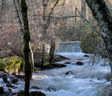 United States California Nevada City vacation rental compare prices direct by owner 34844126