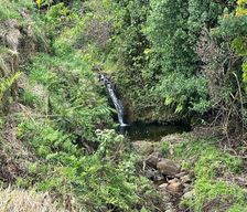 United States Hawaii Hilo vacation rental compare prices direct by owner 37792148