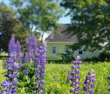 Canada Prince Edward Island Murray River vacation rental compare prices direct by owner 3504890