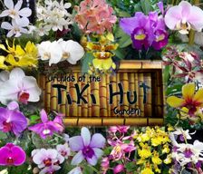 United States Hawaii Hanalei vacation rental compare prices direct by owner 20336
