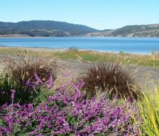 United States California Stinson Beach vacation rental compare prices direct by owner 1092054