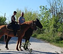 Italy Marche FANO vacation rental compare prices direct by owner 11633034