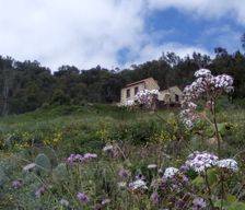 Spain CN Teror vacation rental compare prices direct by owner 4218520