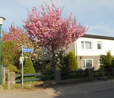 Germany  Kröpelin vacation rental compare prices direct by owner 9387857