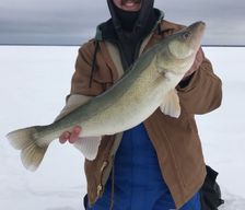Canada Manitoba Grand Marais vacation rental compare prices direct by owner 2883714