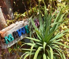 Kenya Laikipia County Nanyuki vacation rental compare prices direct by owner 6599126