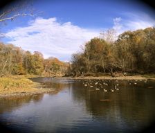 United States Arkansas Heber Springs vacation rental compare prices direct by owner 412746