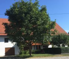 Germany Baden-Württemberg Tannheim vacation rental compare prices direct by owner 4009165