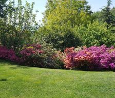 Italy Lombardy Brunate (Como) vacation rental compare prices direct by owner 4199208