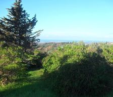 Italy Tuscany Guardistallo vacation rental compare prices direct by owner 6703521