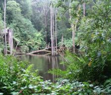 Australia VIC lavers hill vacation rental compare prices direct by owner 9413539