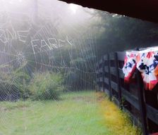 United States Tennessee Henderson vacation rental compare prices direct by owner 597398