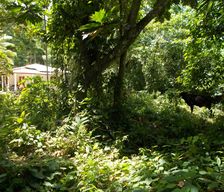 Sri Lanka Southern Province Rathgama vacation rental compare prices direct by owner 6728115