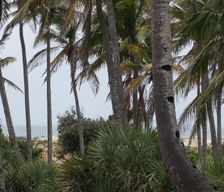Mozambique Inhambane Province Morrumbene vacation rental compare prices direct by owner 6680284