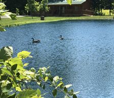 United States Kentucky Russell Springs vacation rental compare prices direct by owner 536716