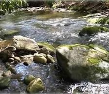 United States North Carolina Cashiers vacation rental compare prices direct by owner 459247
