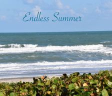 United States Florida Indialantic vacation rental compare prices direct by owner 1197499