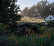 United States California Tomales vacation rental compare prices direct by owner 1317450